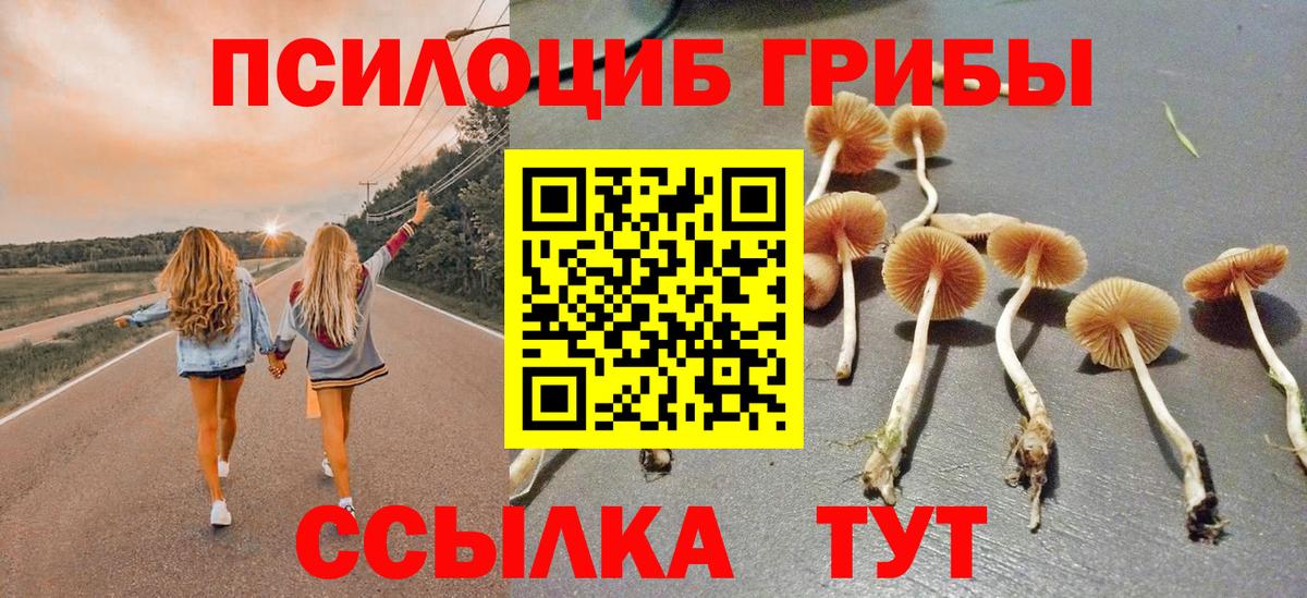 Псилоцибиновые грибы GOLDEN TEACHER Ноябрьск